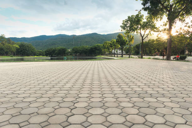 Best Concrete Paver Driveway  in Valencia, NM